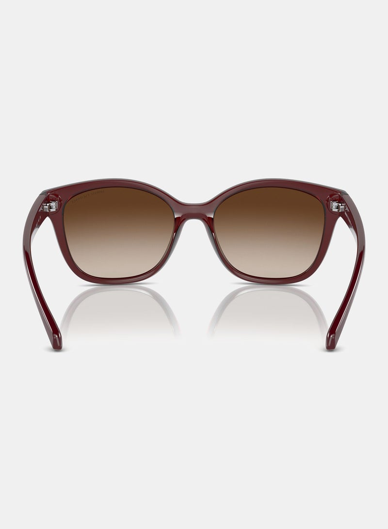 Armani Exchange Full Rim Cat Eye Sunglasses 0AX4127S - Image 3